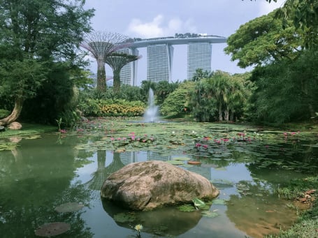 Mobirise Website Builder